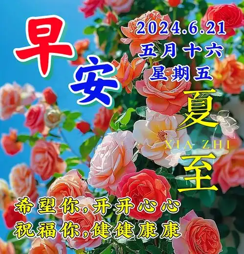 6月21日今日夏至周五早安图片祝福语愿你生如夏花,不负昭华一路平安喜乐,一路明媚芬芳,祝你夏至快乐夏至快乐早安明媚生如夏花盛夏祝福语手机网易网