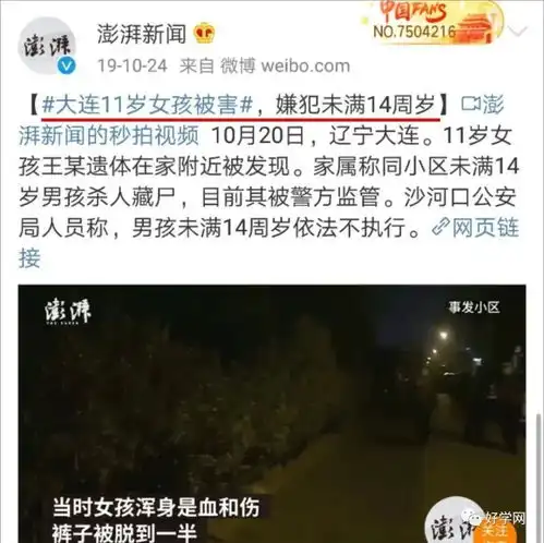 15岁男孩杀害两幼童后抛尸厨房行凶,血肉模糊
