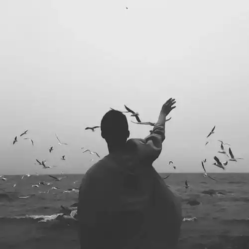 网易云音乐上有哪些你觉得好看的歌曲图片