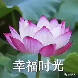 烦恼一个接一个,成年人的生活真难啊