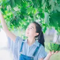 求qq女生头像不带字的,唯美,可爱,背影的都行,不要伤感