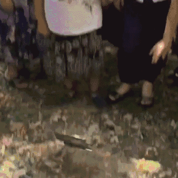 搞笑gif趣图女汉子在家时候的样子,连二哈都被吓到了