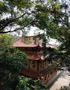 盛世华夏不忘初心闽南佛学院女众部慈愿小组公益二十载向建国七十华诞献礼
