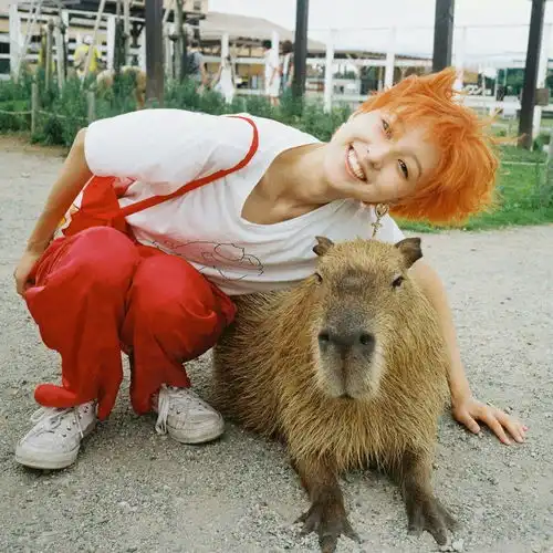 有没有女生和动物在一起的头像