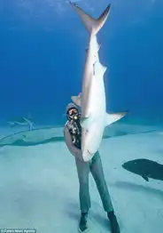 意大利女潜水员展现魔幻之手鲨鱼倒立掌心