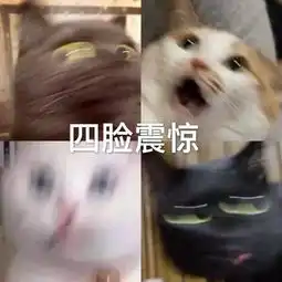 90后相亲市场的绝望总是遇见一辈子都忘不了的奇葩
