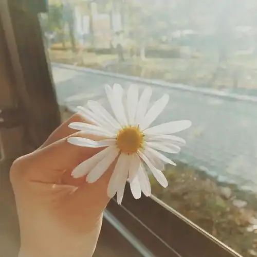 总有一句适合你的文案