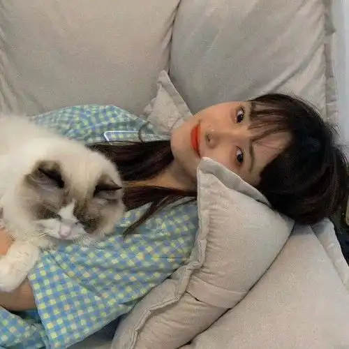 百分百成功脱单的cpdd网名