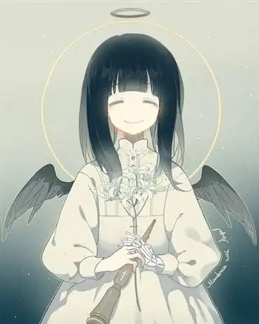 daisy雏菊
