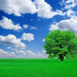 牛皮进口代理清关牛皮进口代理清关价格牛皮进口代理清关厂家