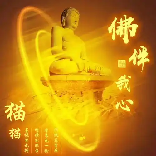 2022用自己名字制作微信头像,可爱卡通情侣连笔签名头像,请查收