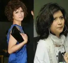 女星糟糕发型姚晨马伊琍卷毛照