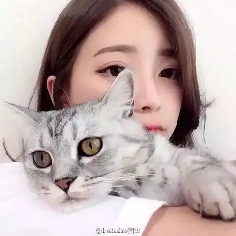 美女头像大全真实气质猫咪