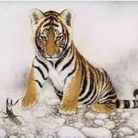 女人最适合的微信头像属虎微信头像图片大全