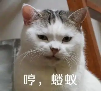 女汉子头像搞笑调戏