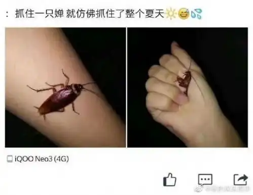 我的肯德基全家桶