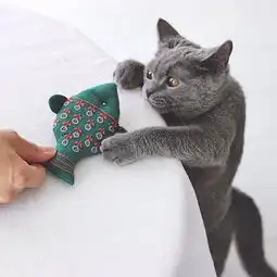 第二自然