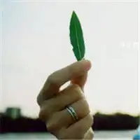 不一样的视角别样的美夏日小清新lomo头像