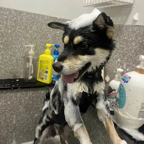 告别格子间,去干体力活一场并不完美的职场自救试验