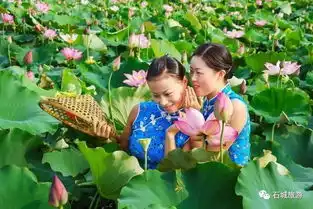 石城莲乡花绽放,美女荷花相映红