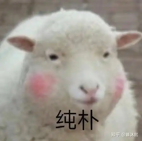 我的垂耳兔两个月了,为什么耳朵没有垂