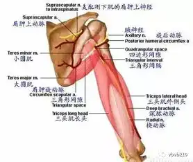 男人想啪啪变强大,常锻炼这四个部位