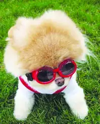 0019b91ec9440f04ac350fmtime时光网