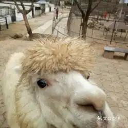 电话,地址,价格,营业时间德阳周边游