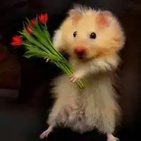 pco行业专家解密食品厂超市仓库酒店灭鼠绝招