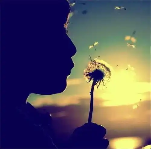 一曲前世今生的缘太好听了,今生最美的绝唱,送给有缘的你
