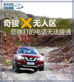 奇骏勇闯沙漠无人区爱卡汽车图片