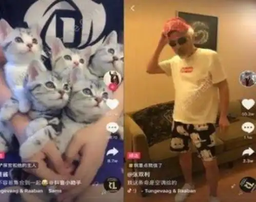 抖音男子调戏少女,聊天不堪入目抖音是如何一步步毁掉我们的