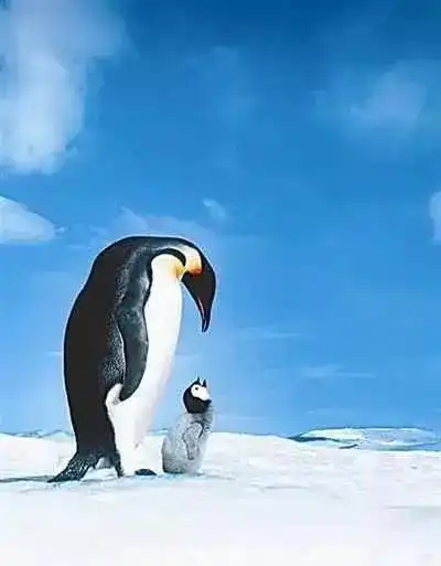 法律之剑不能到达的地方,讽刺之鞭必定可以达到