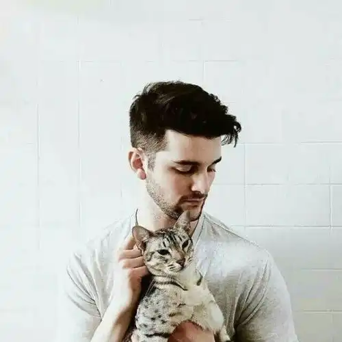 情侣头像男女个抱一只猫,欧美的