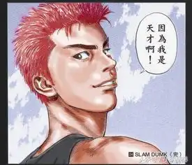 有一个女孩从漫画开始到结束一直默默地喜欢着樱木