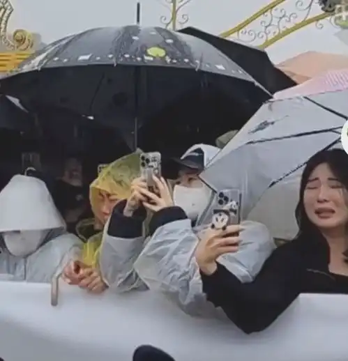 太感人福宝回中国韩国6000人雨中送别,哭嚎声一片,有人下跪