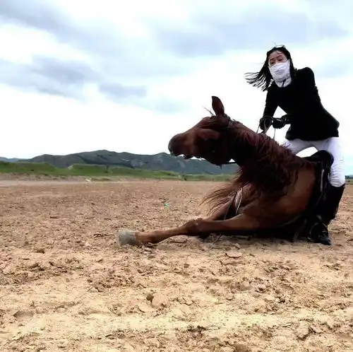 黑暗霸气风头像女骑马