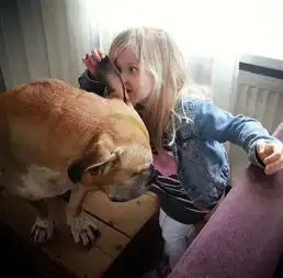 镜头下小女孩陪伴宠物犬度过最后二十天,最后看着狗狗闭眼