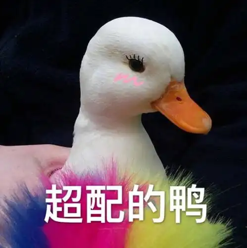 金牛座男生和双子座女生在一起合适吗