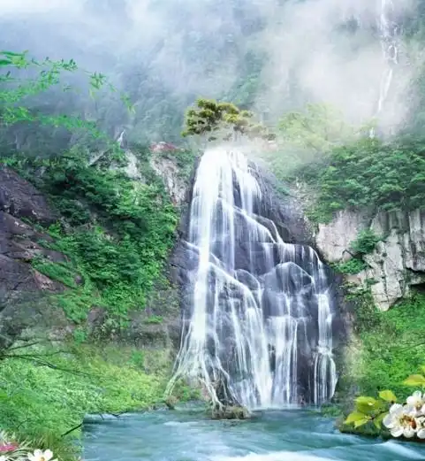 4月份开始,桃花朵朵开,4属相喜事临门,爱情甜蜜,日子红火