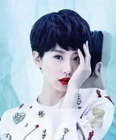 盘点短发别有风韵的女星董洁白百何刘诗诗吸睛