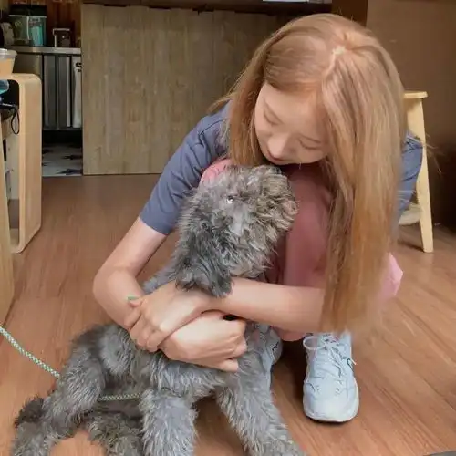 女生头像丨不要问我借钱