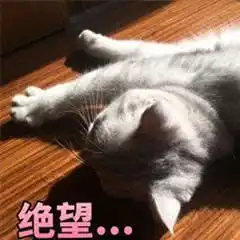 我竟然吃了世界第一臭,隔着屏幕都能闻到臭味,看完别吐