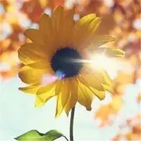 正常正经正能量的头像