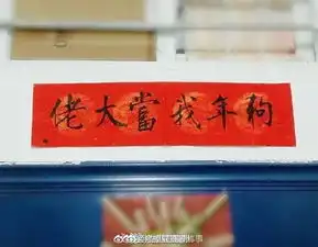 女生寝室佛系春联走红