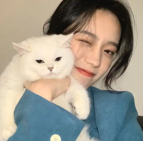 文案不开心难过的时候看看