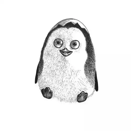 马达加斯加的小企鹅