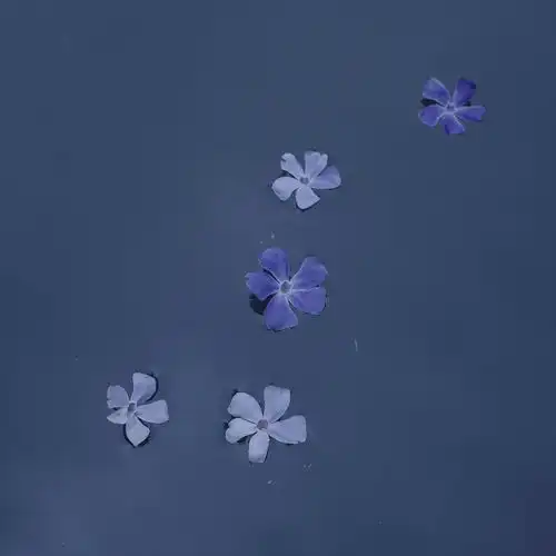 佛系祈愿女生头像
