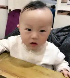 搞笑狗生萨摩耶,你是吃了好多少长饭,吃成这样啊
