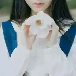 这是什么花这个
